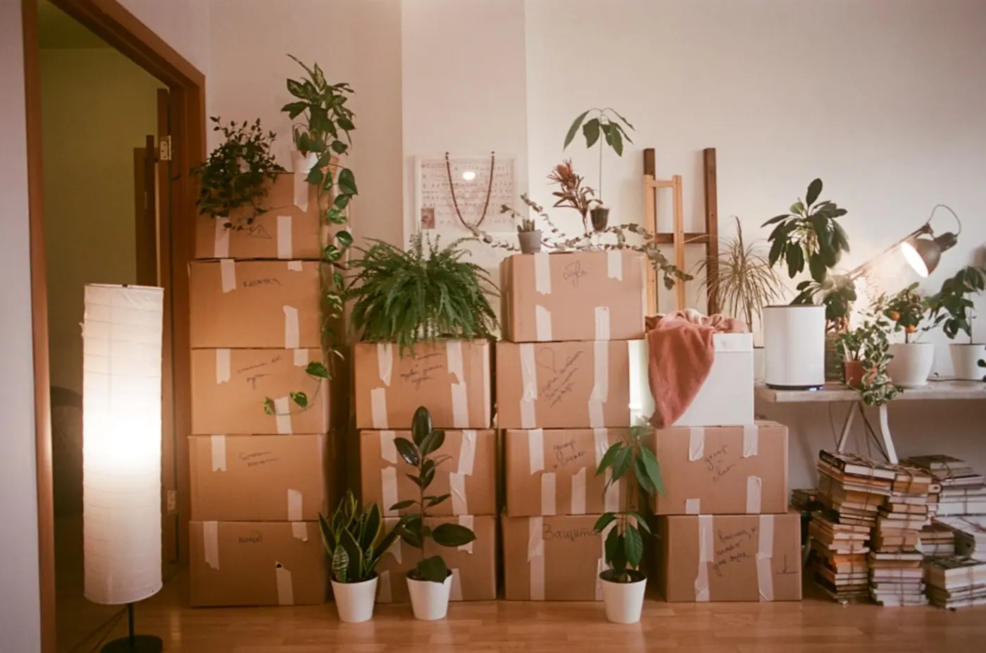 Verhuisdozen met planten in een woonkamer
